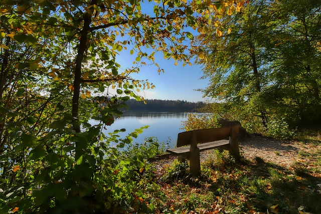 几次错失良 几次错失良